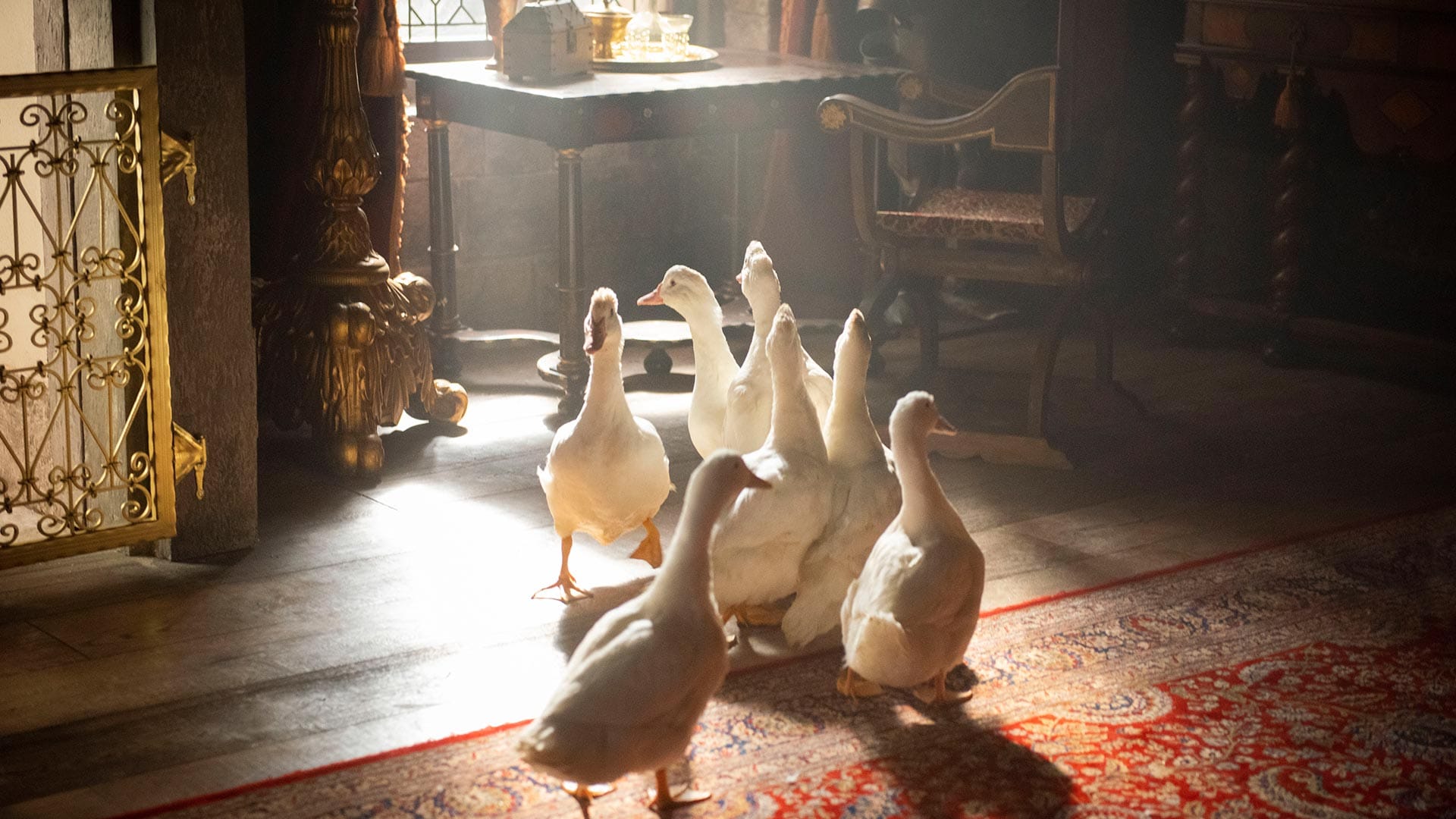 Miracle Workers: Dark Ages ducks background