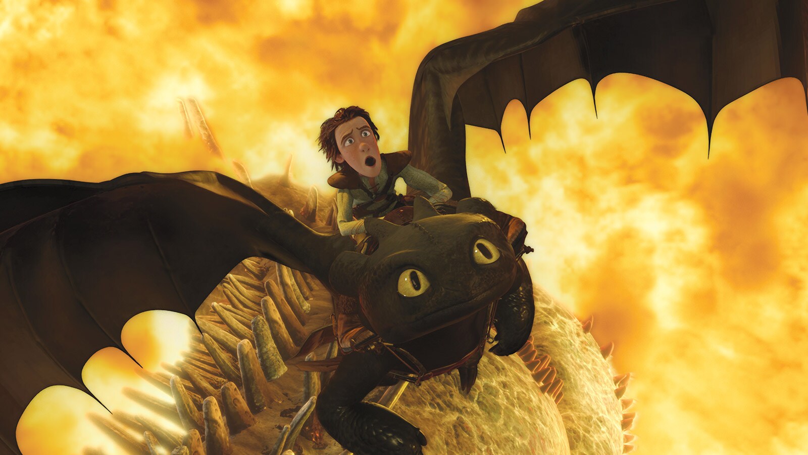 how to train your dragon